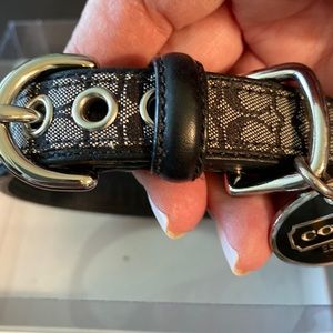 Coach small dog collar